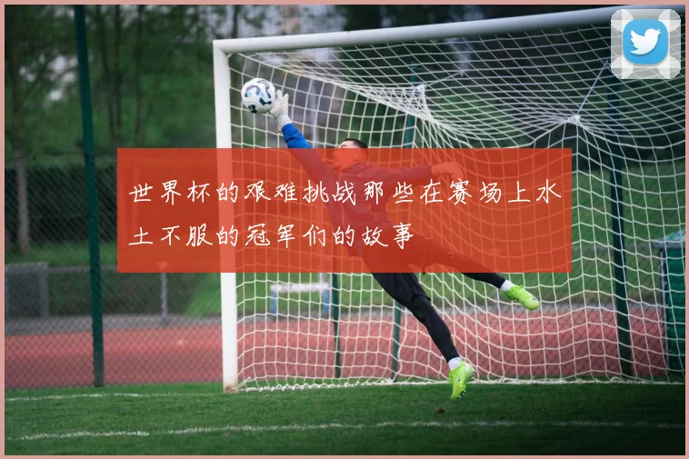 世界杯的艰难挑战那些在赛场上水土不服的冠军们的故事
