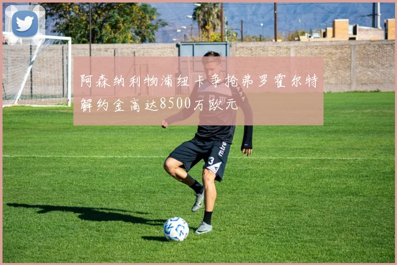 阿森纳利物浦纽卡争抢弗罗霍尔特解约金高达8500万欧元