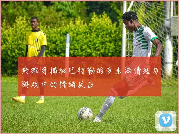 约维奇揭秘巴特勒的多米诺情结与游戏中的情绪反应